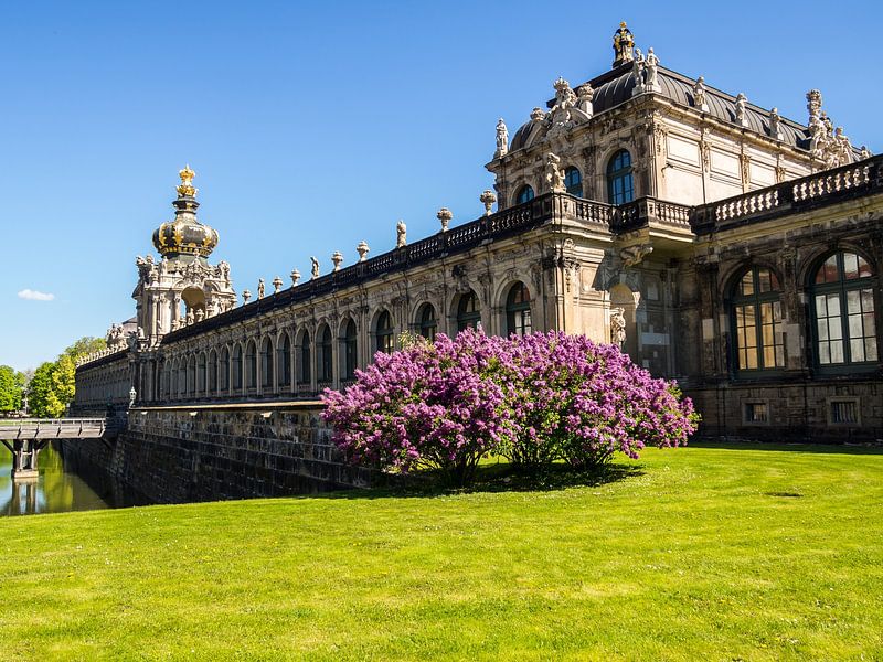 Blick auf den Dresdner Zwinger im Frühling von Animaflora PicsStock