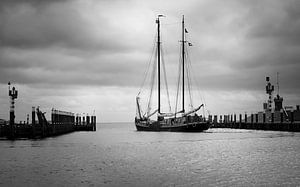 Odeschild - Texel