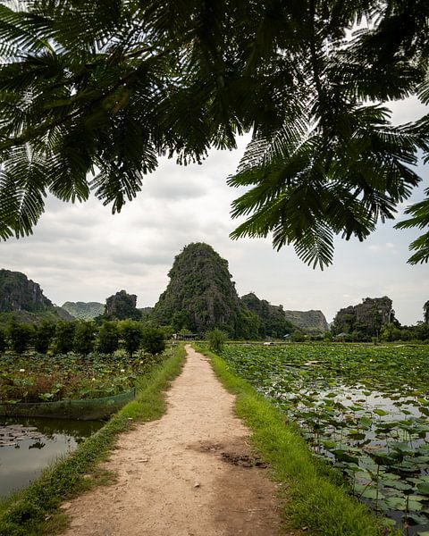 Ninh Binh, Vietnam by Patrick Fotografeert