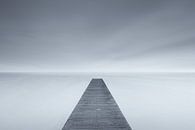 Into Nothingness - a cold morning on a misty Autumn day at the Lake van Bas Meelker thumbnail