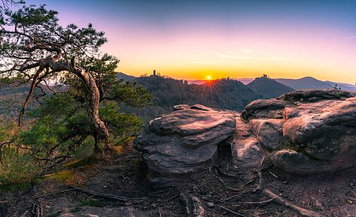 Aussicht im Pfälzerwald