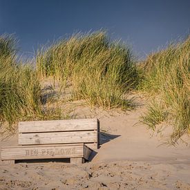 Relaxen op het strand van Anita Loos