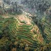 Drone foto Bali van UNESCO World Heritage Tegalalang rijstvelden van Thea.Photo