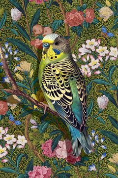 Parakeet in the Conservatory van Marja van den Hurk