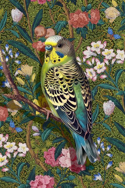 Parakeet in the Conservatory by Marja van den Hurk