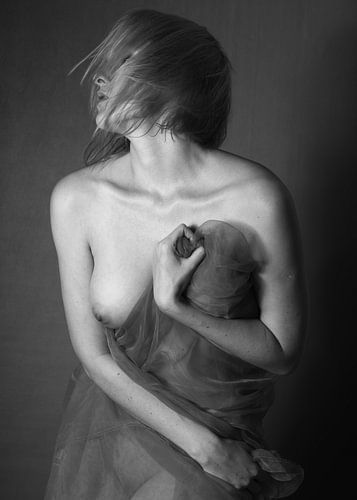 Art Nude Photography 