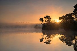Sonnenaufgang in der Nähe des Voorst Goorven von Ron Frenken
