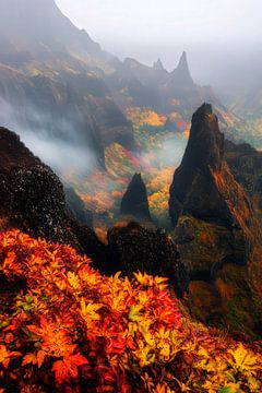 Herfstlandschap met mist - Dramatisch van Poster Art Shop