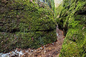 Die Drachenschlucht bei Eisenach