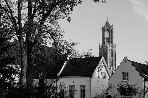 De Dom van Utrecht op 7 november 2025 (liggend, zwartwit)