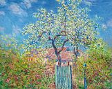 Pear Tree In Bloom, Claude Monet by Masterful Masters thumbnail