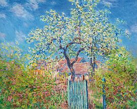Perenboom in bloei, Claude Monet