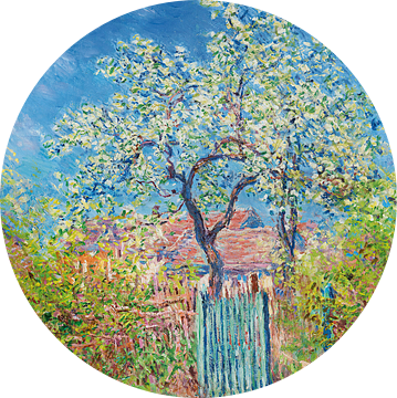 Perenboom in bloei, Claude Monet