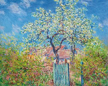 Blühender Birnbaum, Claude Monet
