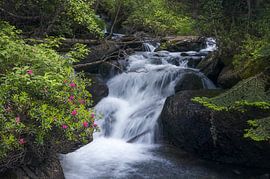 Wasserfall im Naturpark La Vall de Sorteny, Andorra von PhotoCluster