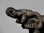 Olifant portret van Omega Fotografie thumbnail