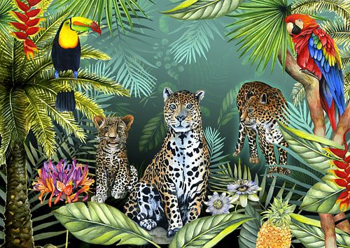 Plantes tropicales animaux sauvages