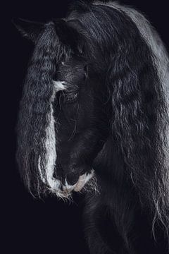 Portrait d'art en gros plan d'un cheval sur Shirley van Lieshout