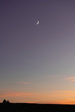 Mondsichel bei Sonnenuntergang von Robin van Steen