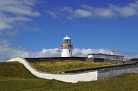 St. John's Point Leuchtturm an der  Donegal Bay in Irland von Babetts Bildergalerie Miniaturansicht