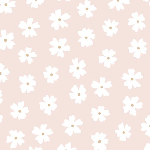 Imprimé floral rose pastel - marguerite moderne minimaliste