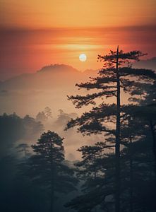 Sonnenaufgang im Wald