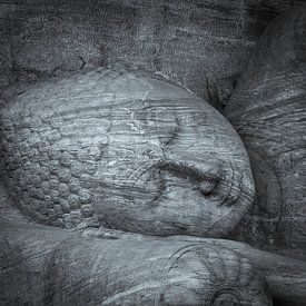 Largest reclining Buddha statue at Gal Viharaya van Inez Wijker