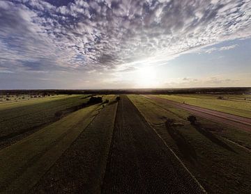 Maize field at sunset by Melvin Adolfs