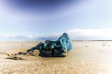 Blauw op het strand