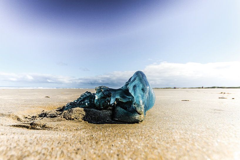 Blauw op het strand van Foto van Anno