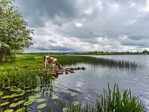 Sfeervol landschap sur Richard Reuser