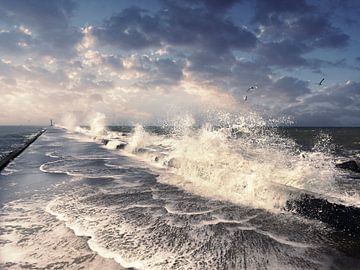 Against the tide by Arjen Roos
