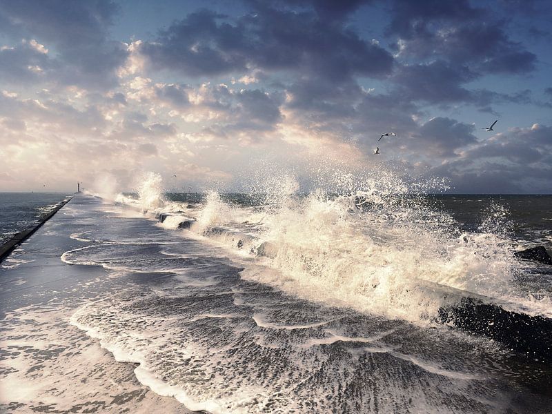 Gegen den Strom schwimmen von Arjen Roos