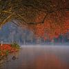 Het perfecte herfsttafereel van Martin Podt