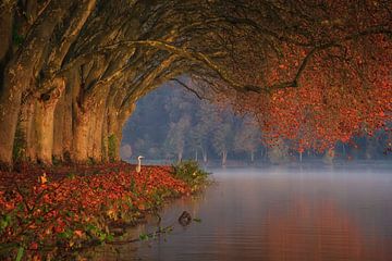 The perfect autumn scene by Martin Podt
