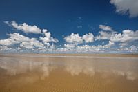 Onze prachtige kust met Hollandse lucht