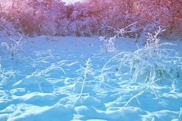Winterlandschap van Bo Valentino
