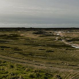 De Slufter, Texel by Jan Heijmans