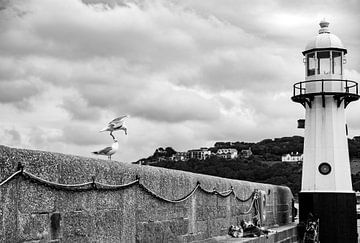 Gulls meeting at the lighthouse by Pictorine
