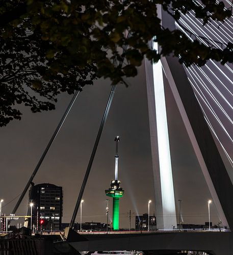 Skyline Rotterdam von Manuel Diaz Alonso
