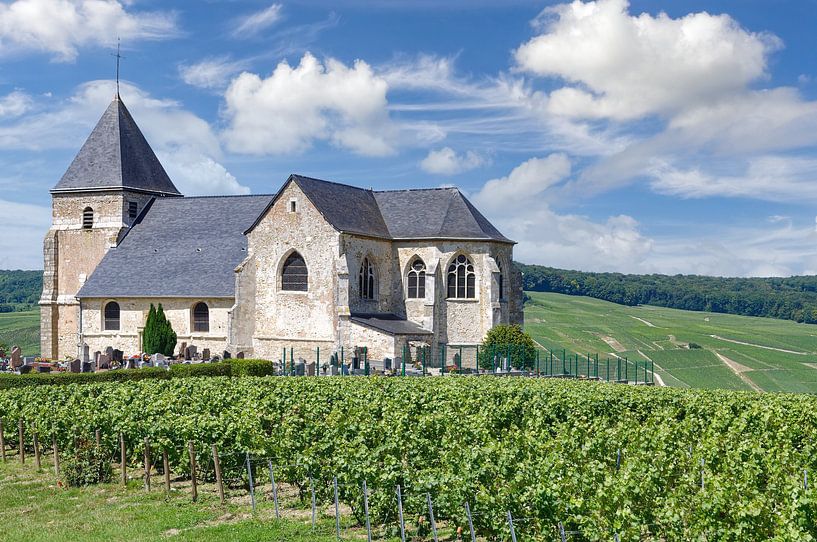 Saint Martin de Chavot,Champagne region,Epernay by Peter Eckert
