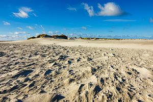 Landschaft mit Dünen auf der Insel Amrum
