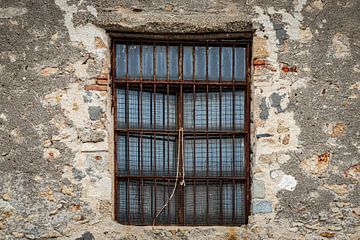 Verlaten raam van Irene Ruysch
