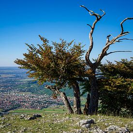 Albtrauf, Swabian Alb III by Ullrich Gnoth