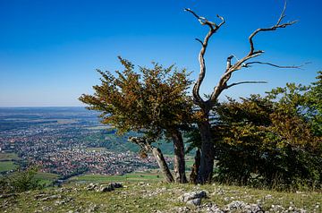 Albtrauf, Swabian Alb III