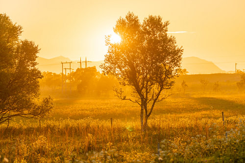 Goldene Stille
