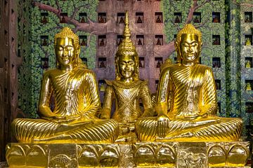 Vergoldete Tempelfiguren im buddhistischen Tempel Prey Nob von resuimages
