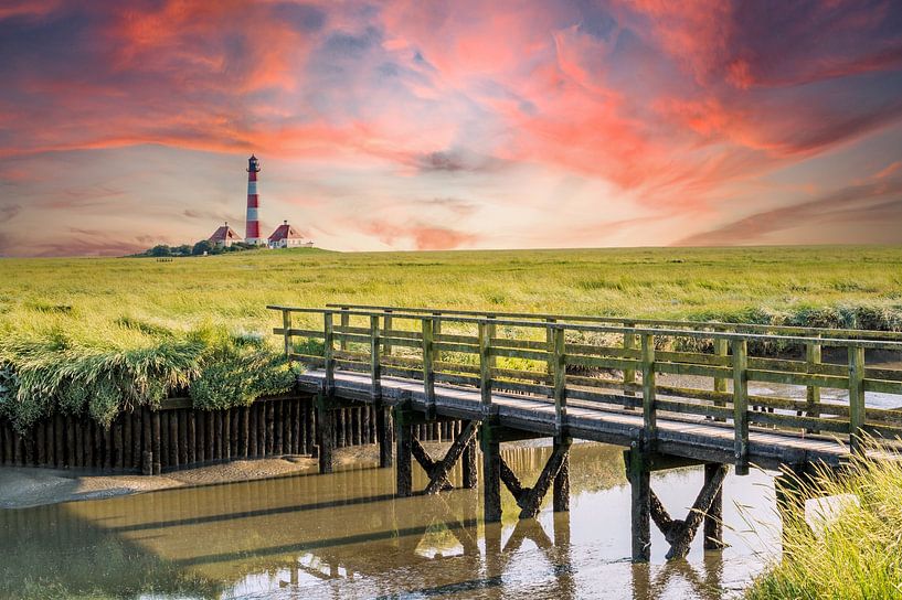 Blick auf den Westerhever Leuchtturm an der Nordsee von Animaflora PicsStock