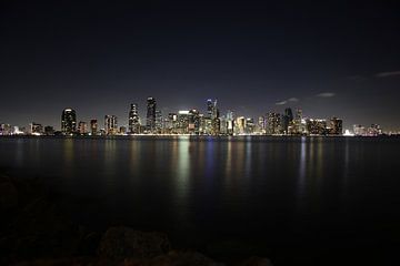 Miami skyline van Robert Verbrugge