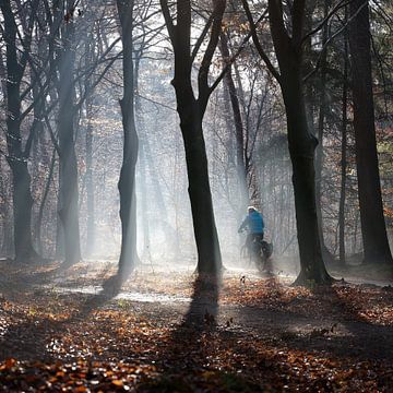 cyclist in foggy forest by anton havelaar